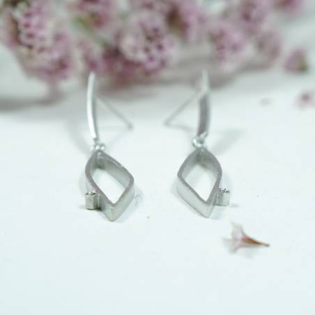 Large silver earrings