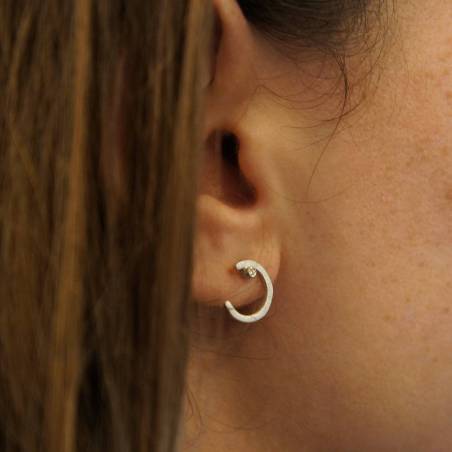 Arracades plata y diamants