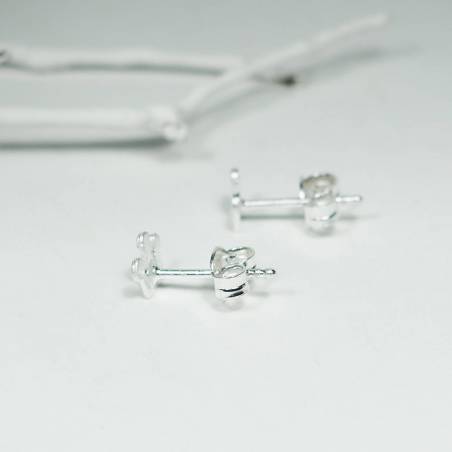Arracades petites