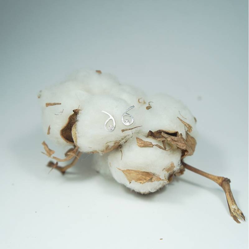 Small silver earrings