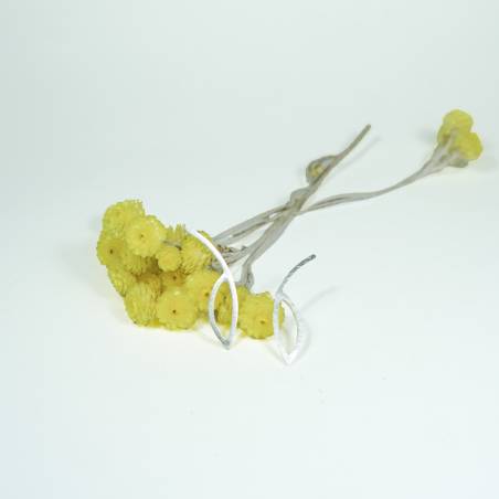Arracades petites originals plata