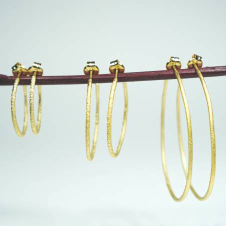 Gold plated earrings
