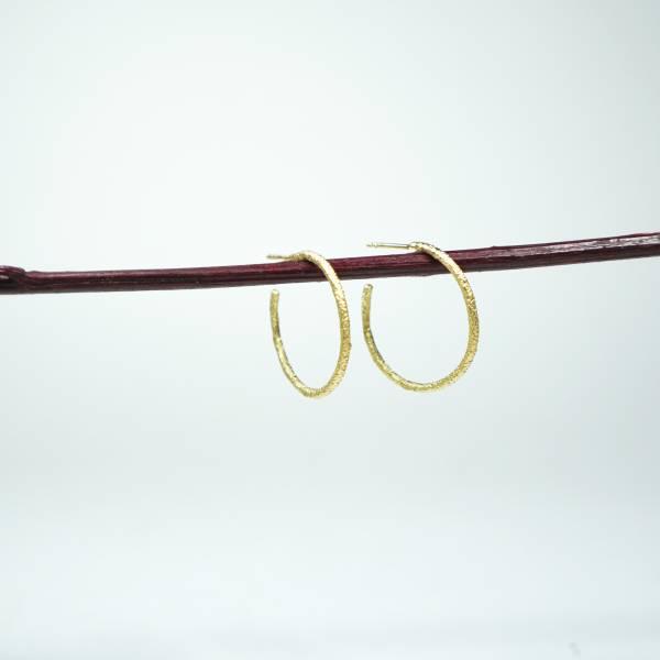 Small hoop earrings