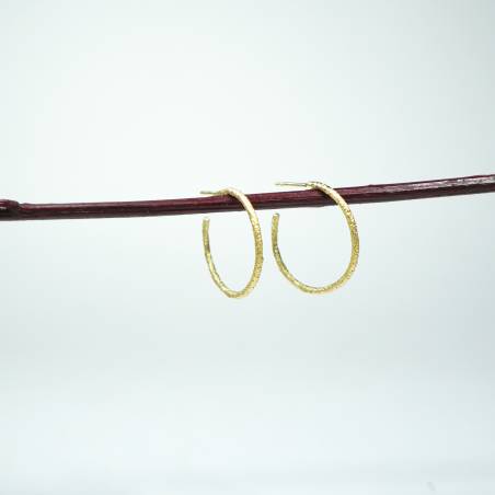Small hoop earrings