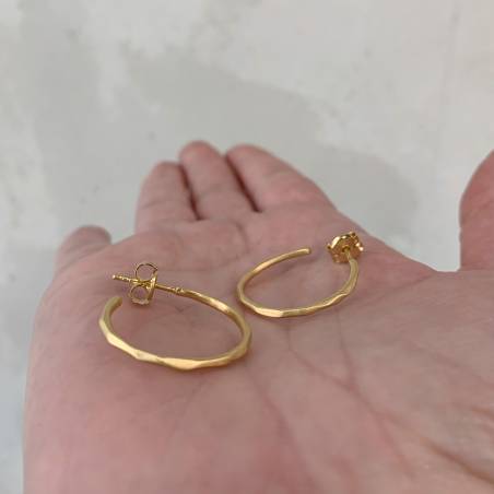 Gold plated earrings
